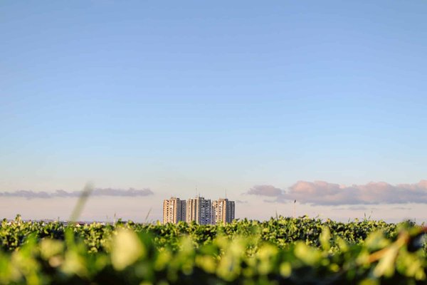 Pourquoi s'informer sur les enjeux écologiques ?