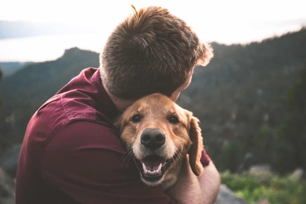 Quels sont les bienfaits des animaux sur notre santé ?