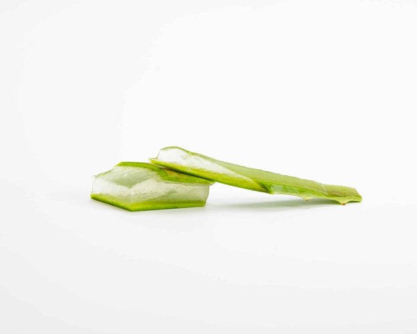 Quelles sont les plantes les plus bénéfiques pour notre santé ?