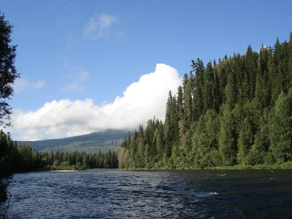 Quels sont les sites naturels classés au patrimoine mondial ?