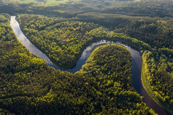 Comment contribuer à la sauvegarde du patrimoine naturel ?